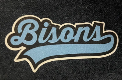 3" Iron On Bison Hockey Logo for Garments (Jackets, Shirts)