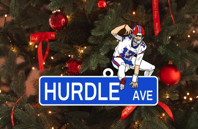 https://d2ngzhadqk6uhe.cloudfront.net/zoombuffa/images/product/Red-hurdle-ornament.jpg