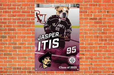 Vinyl Banner (Senior Sports Banners)