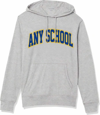 Customizeable Lightweight Grey Hoodie https://d2ngzhadqk6uhe.cloudfront.net/zoombuffa/images/product/any_school_10550428202604.jpg