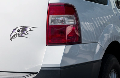 Niagara Jr Purple Eagles Weather-proof die cut stickers