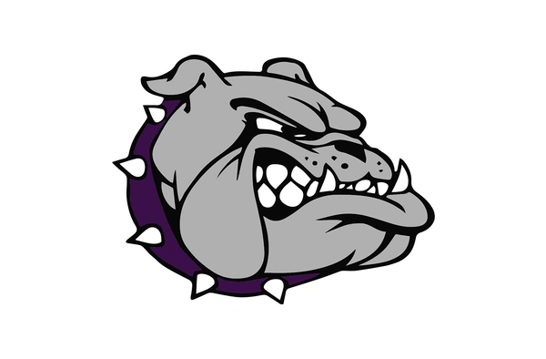 Hamburg High School Iron On Logo for Garments (Jackets, Shirts) 2