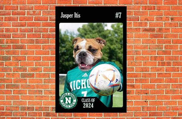 Vinyl Banner (Senior Sports Banners) 2